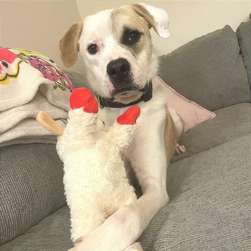 Melvn Hayes thumbnail 5