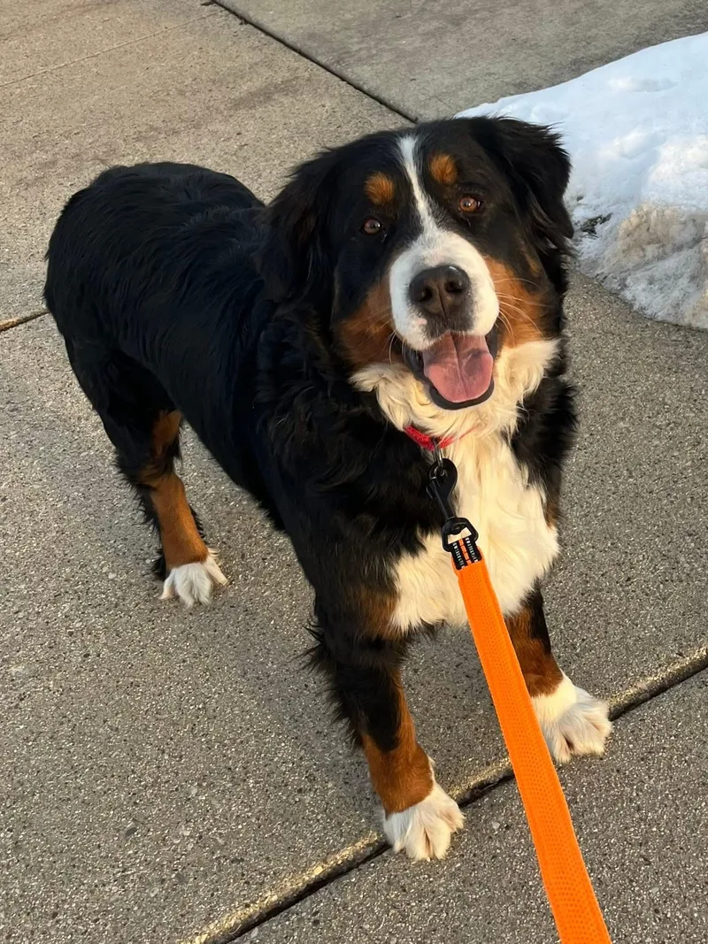 Ellie Mae thumbnail 2