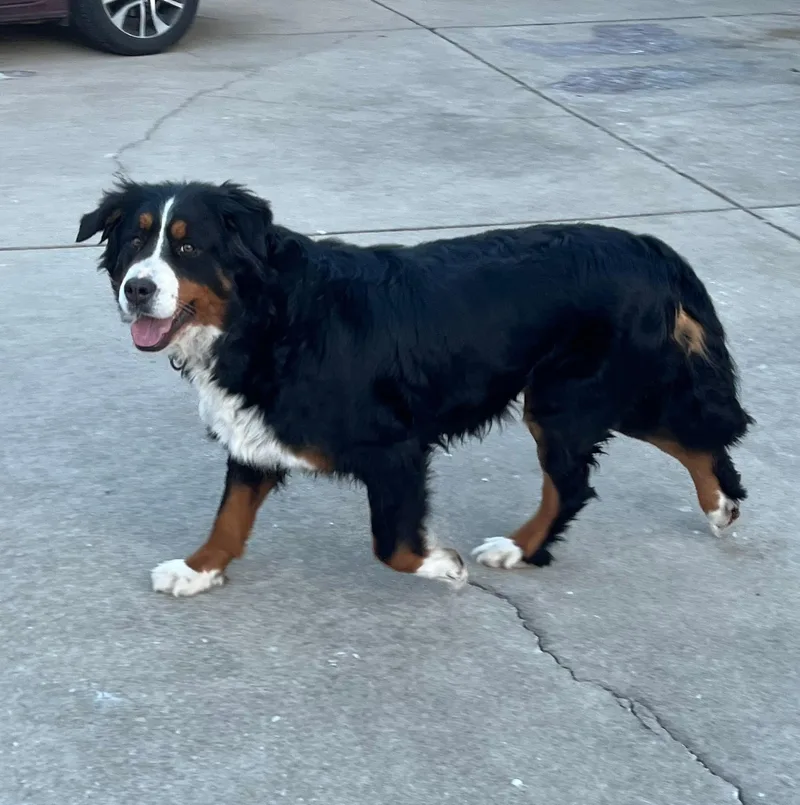 Ellie Mae thumbnail 3