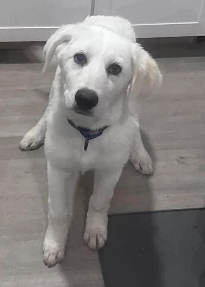 Zoey