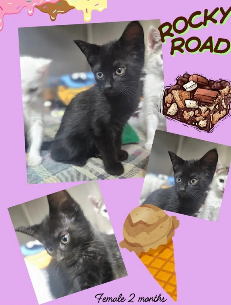 Rocky Road