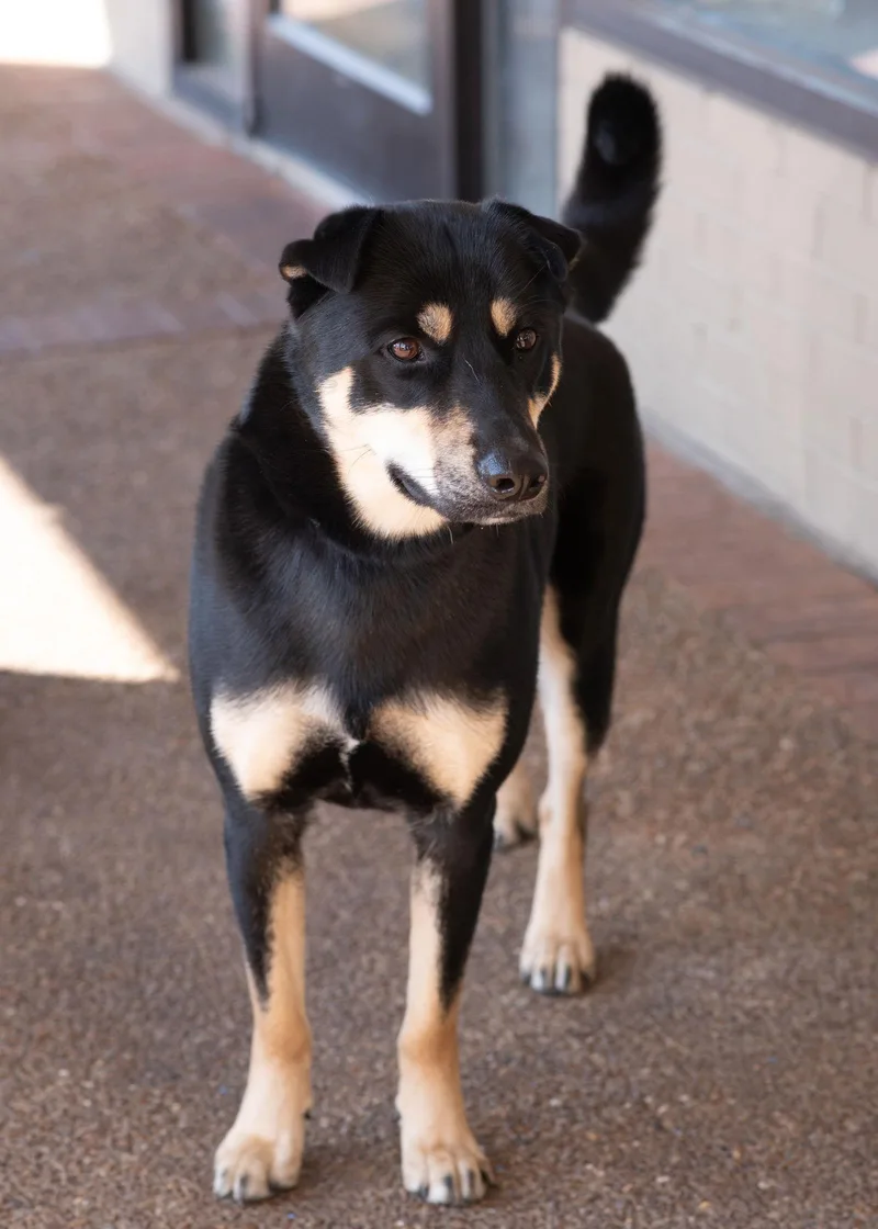 Bon Jovi thumbnail 2