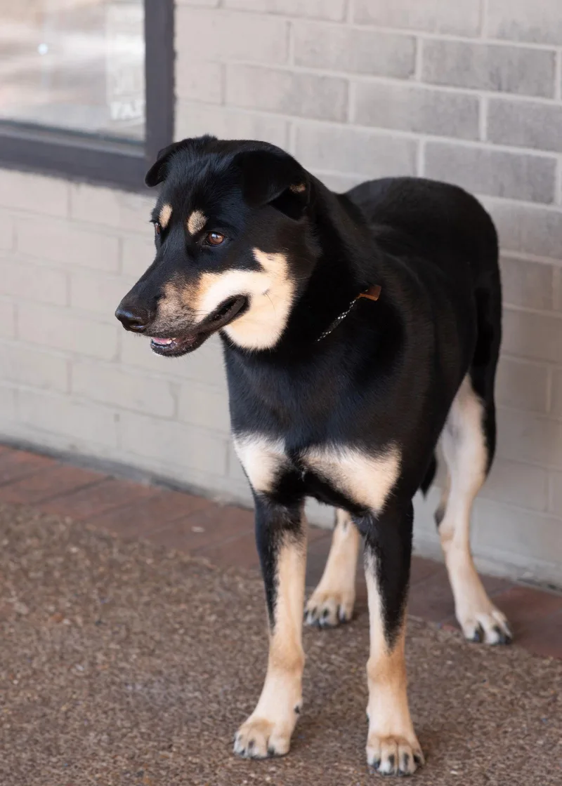 Bon Jovi thumbnail 3