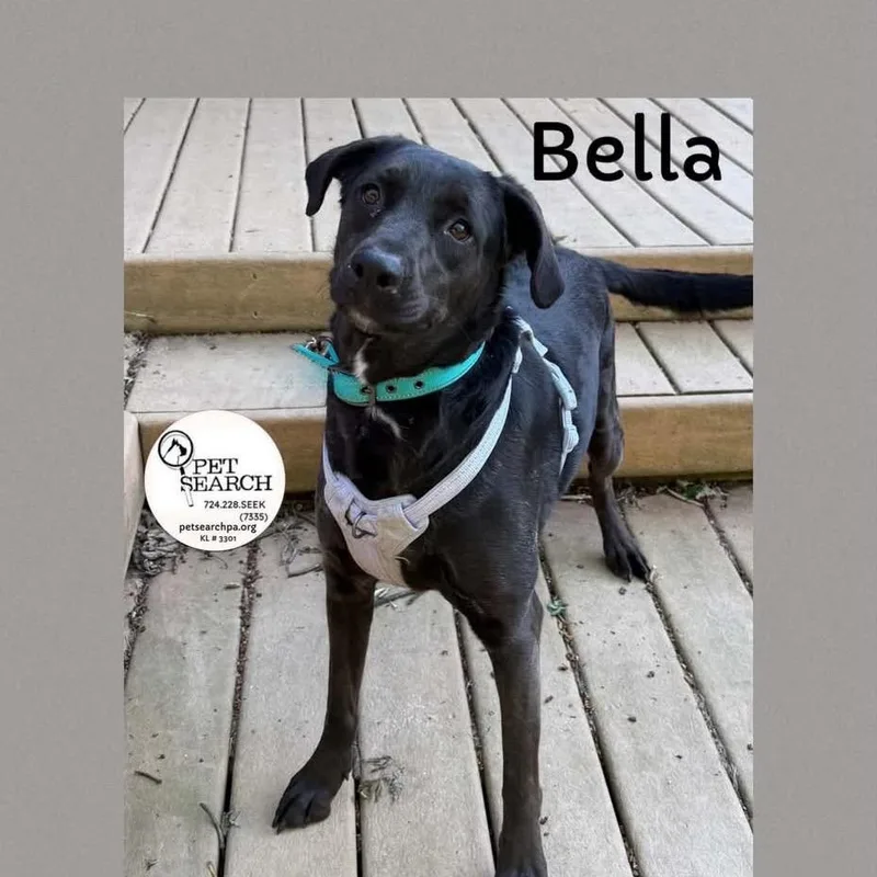 Bella