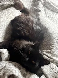 Gladys Knight thumbnail 2