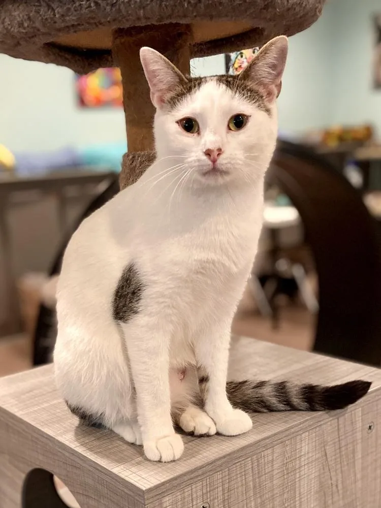 Chardonnay thumbnail 2