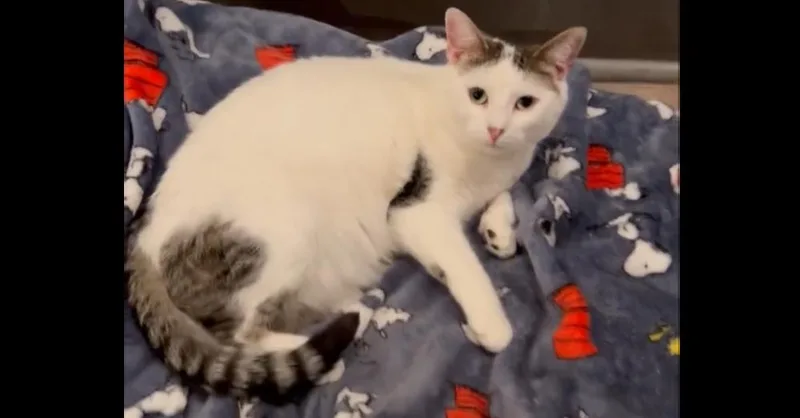 Chardonnay thumbnail 4