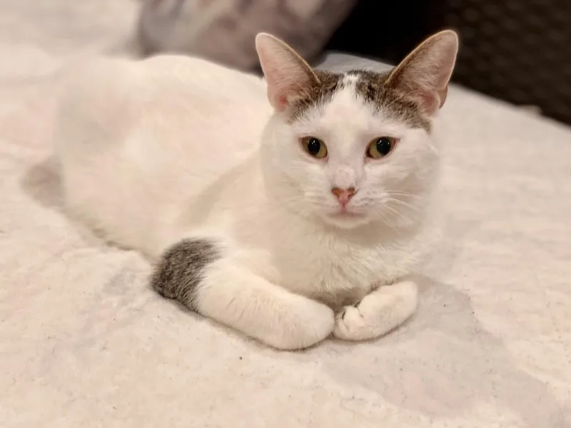 Chardonnay thumbnail 5