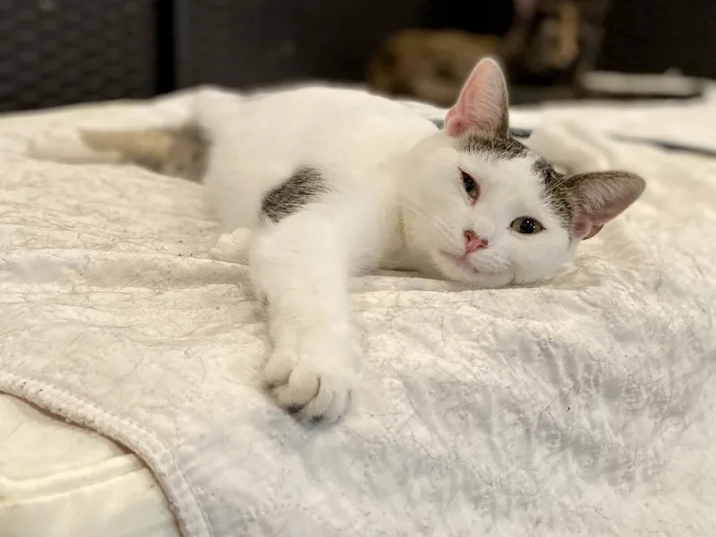 Chardonnay thumbnail 6