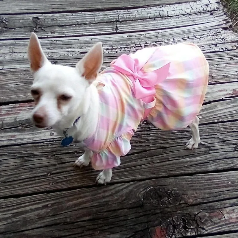 Princess thumbnail 5
