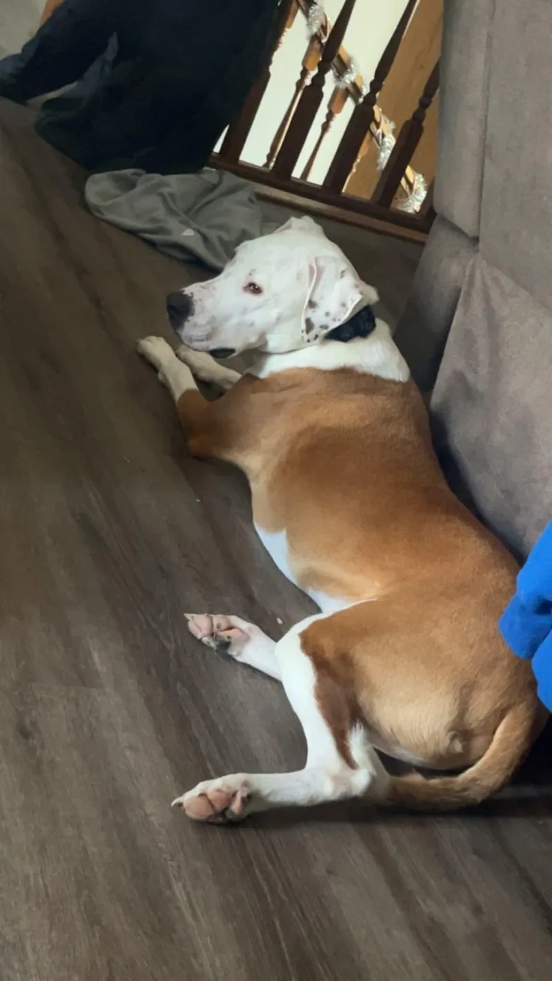 Deuce