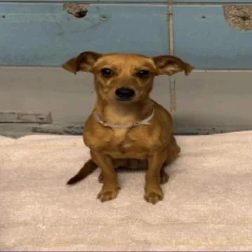 Maddie  Arriving  thumbnail 3
