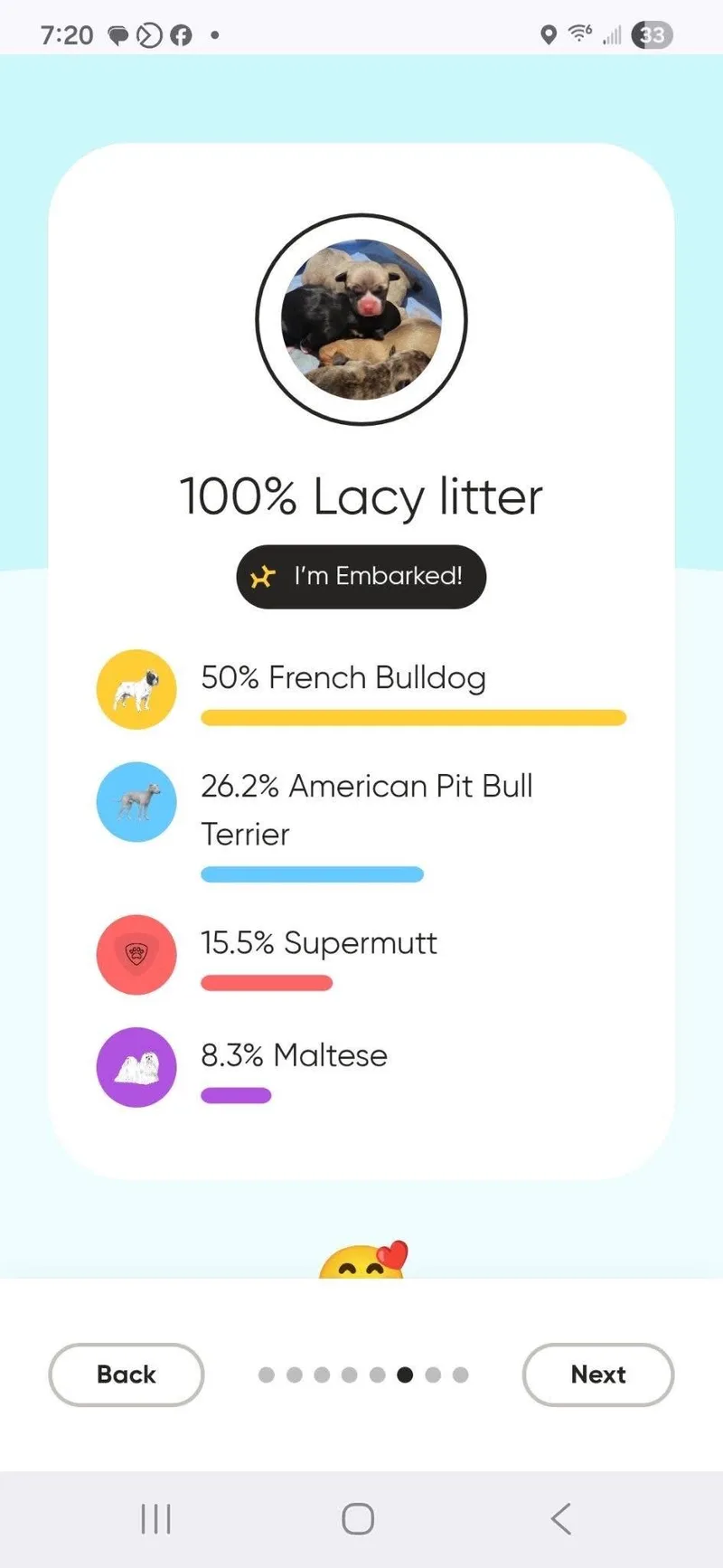 Chai Lacy's litter thumbnail 2