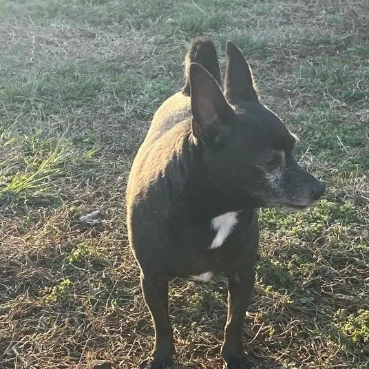 Tobey Maguire thumbnail 2