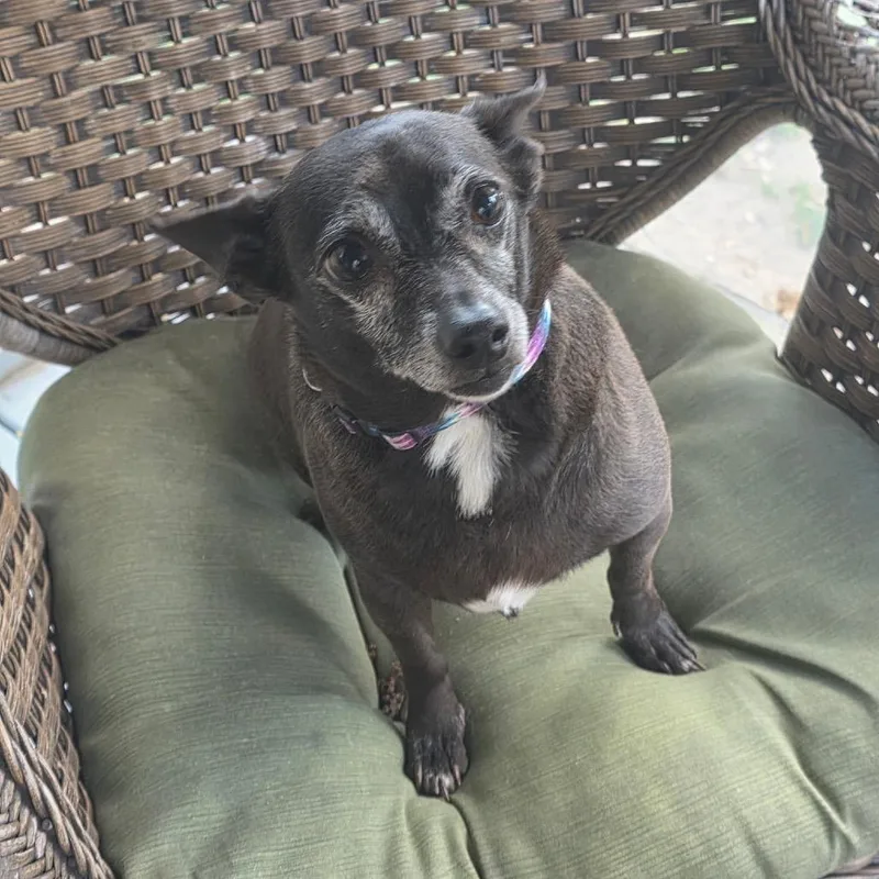 Tobey Maguire thumbnail 3