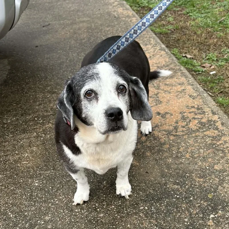 Rosie  Home Visit thumbnail 2