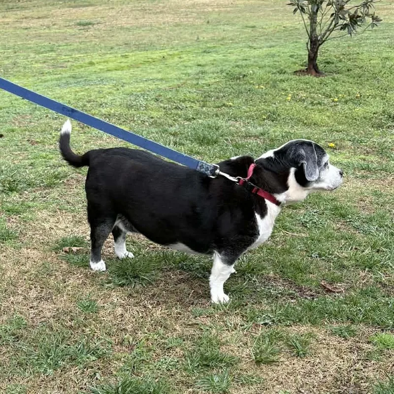 Rosie  Home Visit thumbnail 3