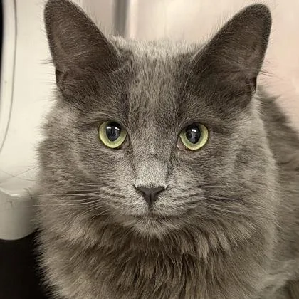 Lightening thumbnail 2