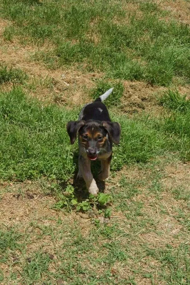 Penny