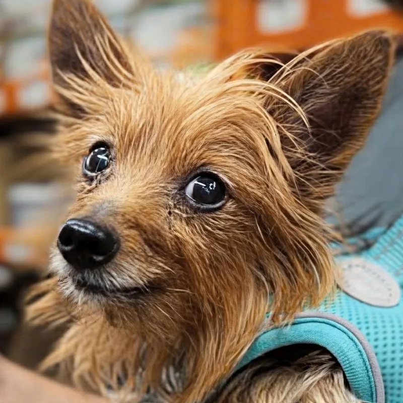 Max Deleon thumbnail 2