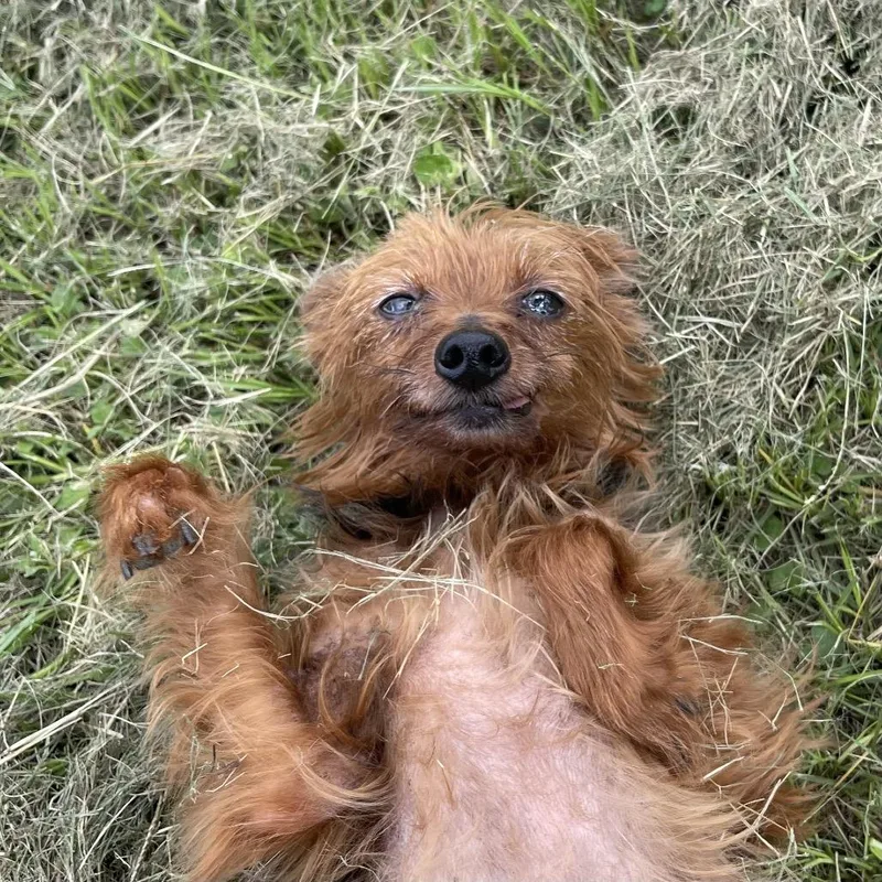 Max Deleon thumbnail 4