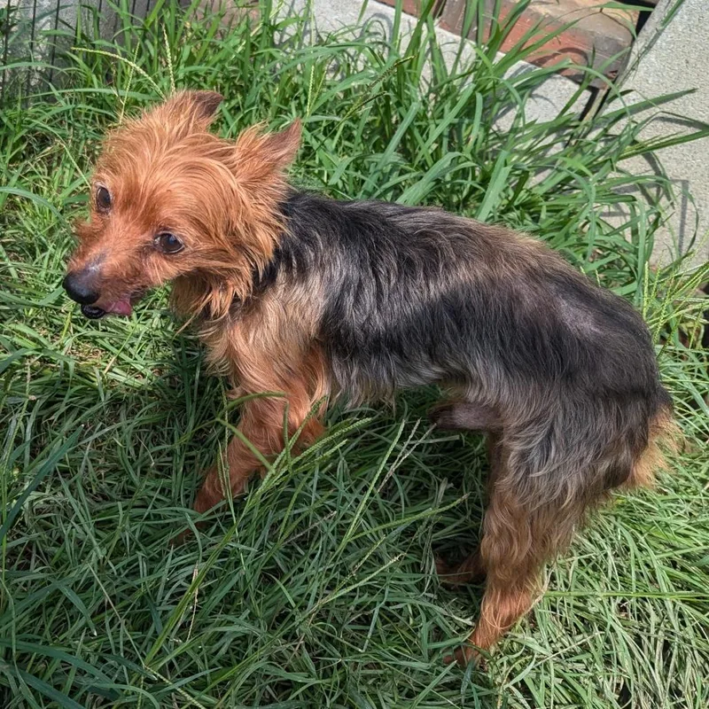 Max Deleon thumbnail 5