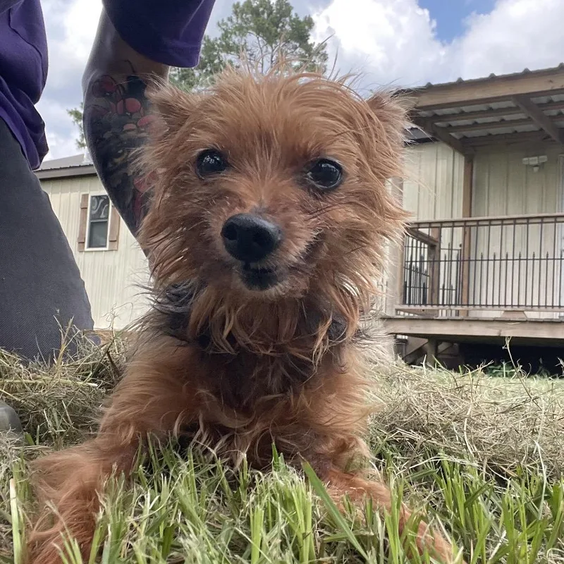 Max Deleon thumbnail 6