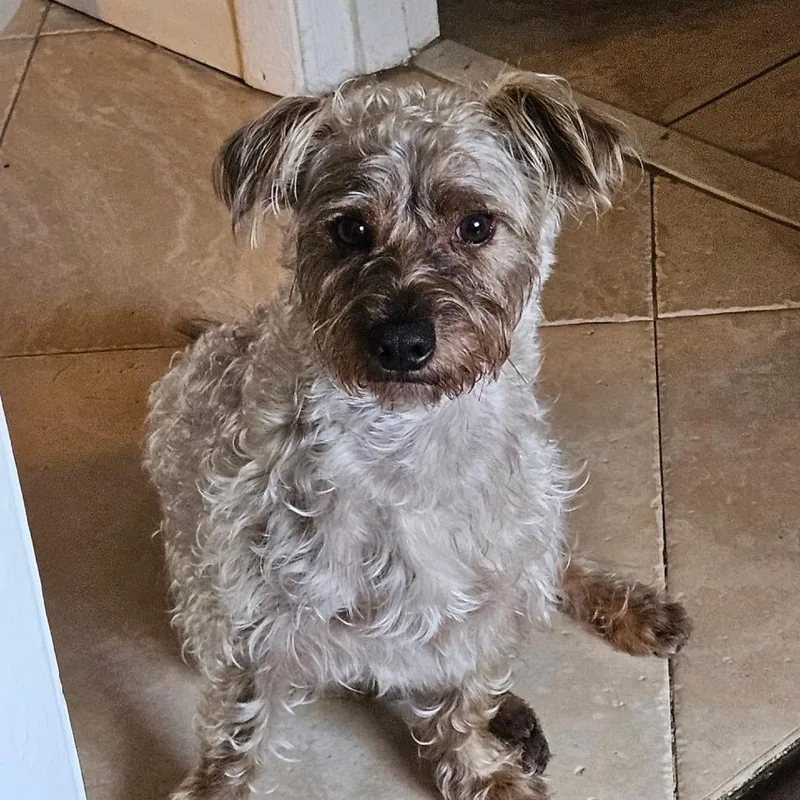 Pablo