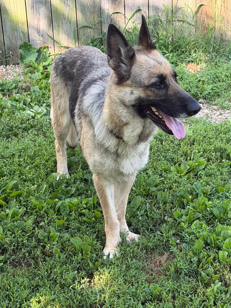 Athena