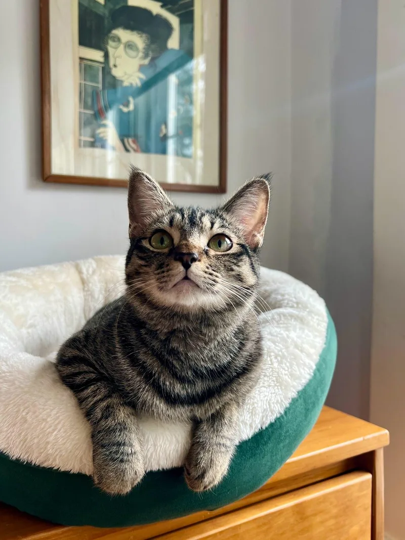 Kiki  Located In thumbnail 2