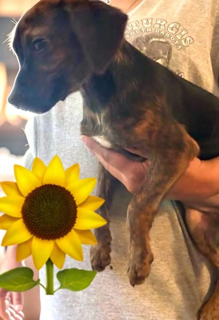 Butter thumbnail 3