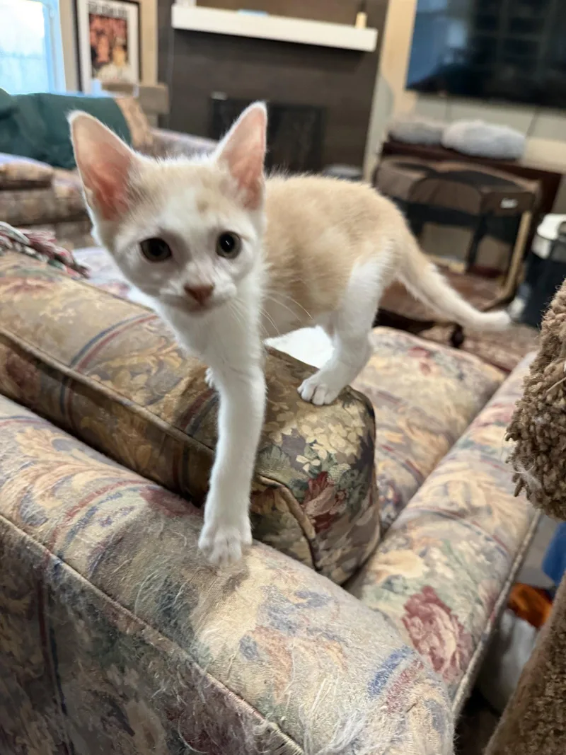 Ziggy W thumbnail 2
