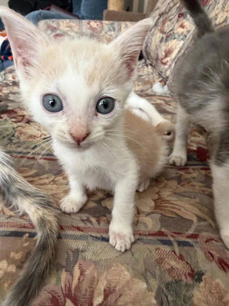 Ziggy W thumbnail 3