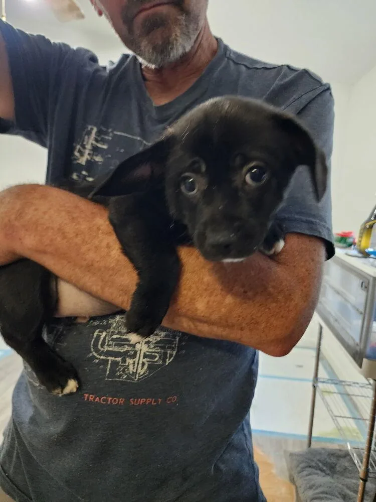 Princess Lilibet