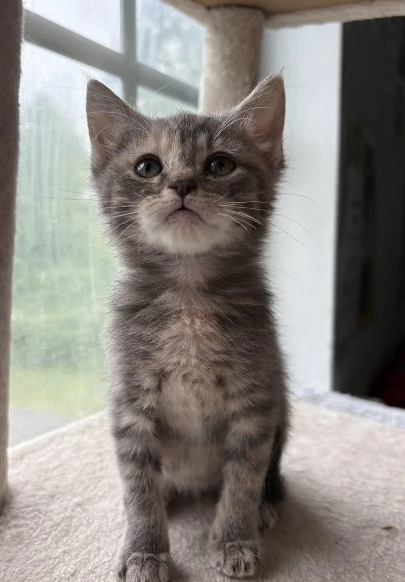 Mia