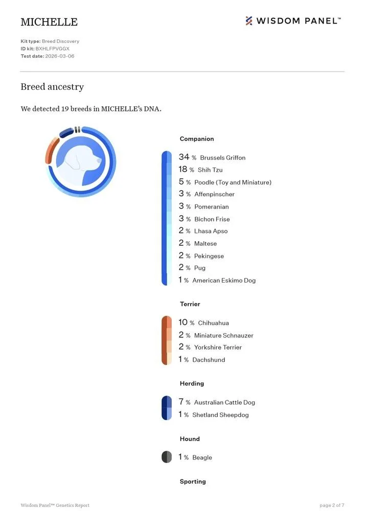 Michelle Aka Shelly thumbnail 3