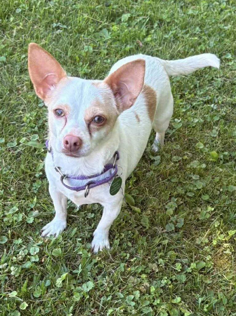 Winnie