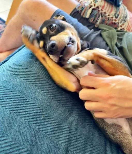 Otis thumbnail 2