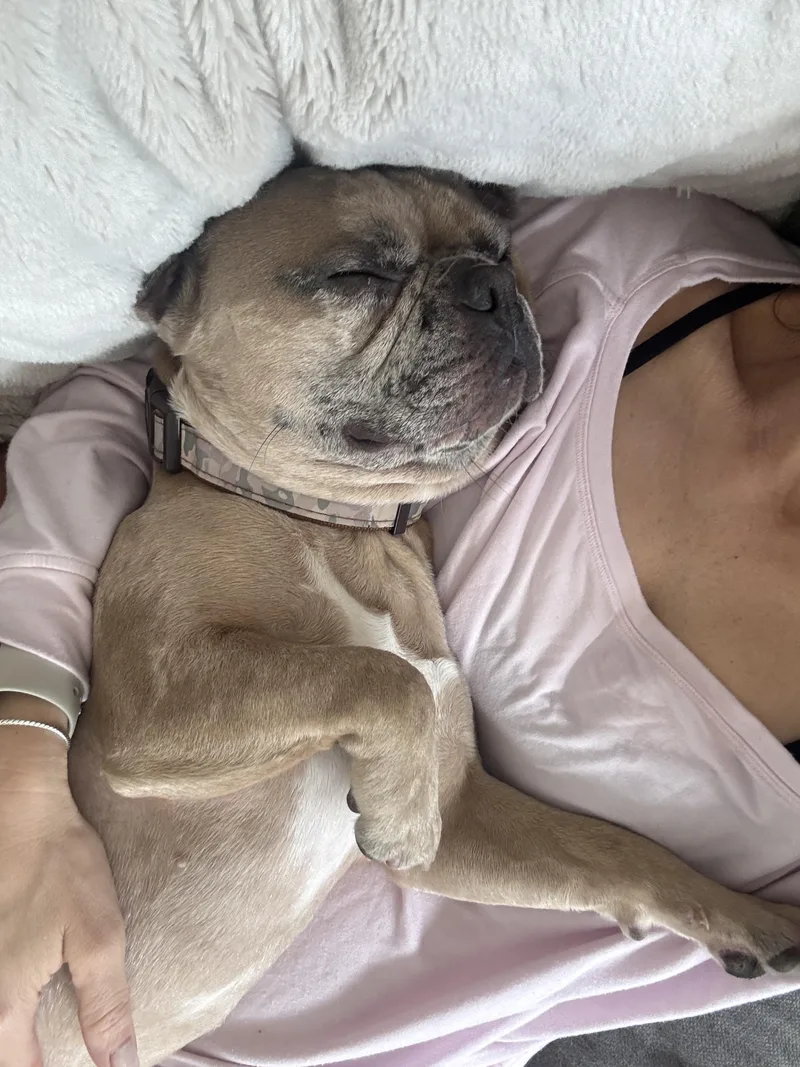Yoda