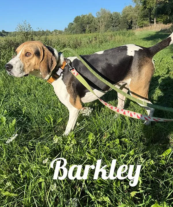 Barkley