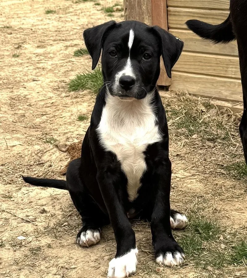 Phoebe  Friends Girls thumbnail 4