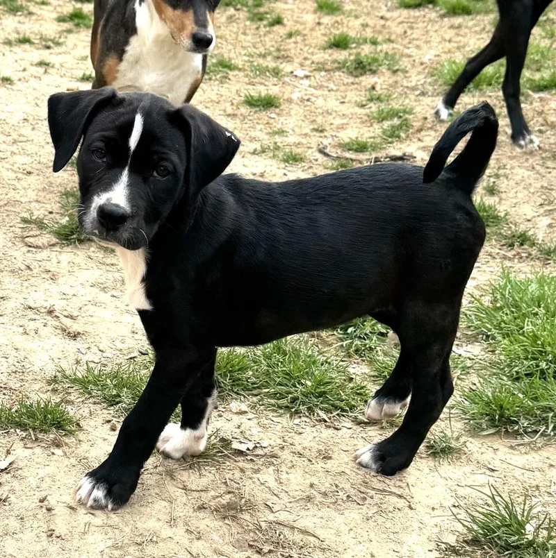 Phoebe  Friends Girls thumbnail 5