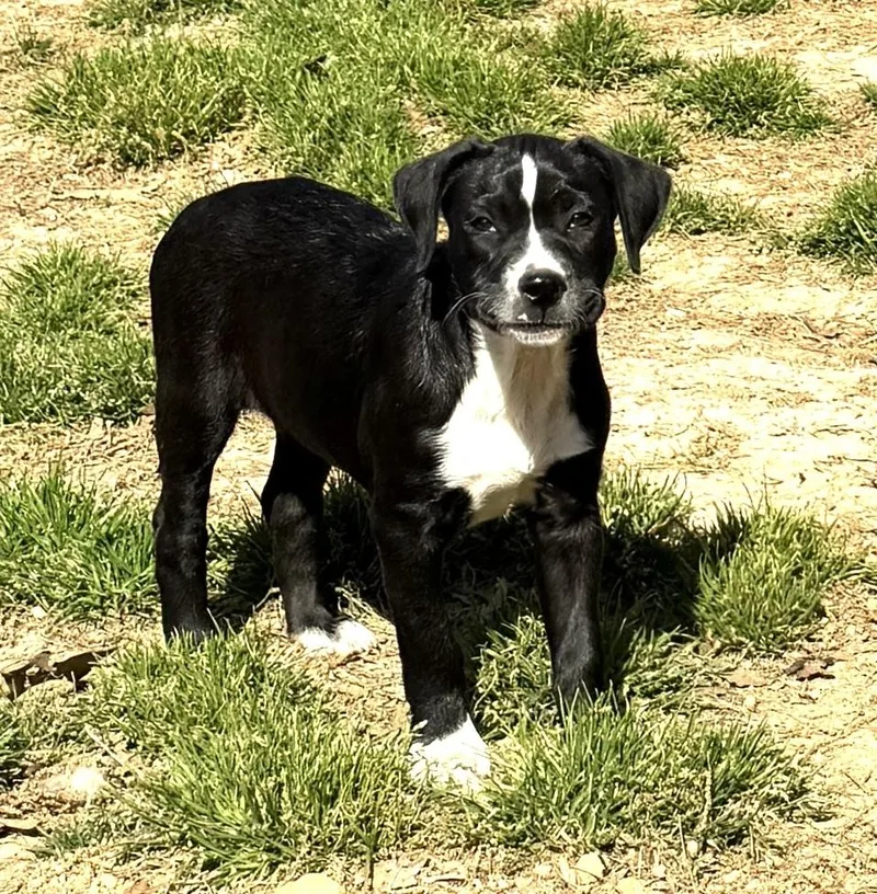 Phoebe  Friends Girls thumbnail 6