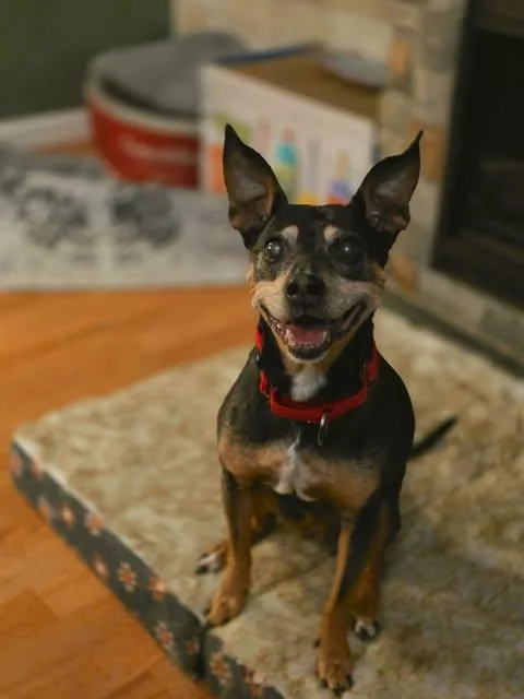 Lulu thumbnail 3