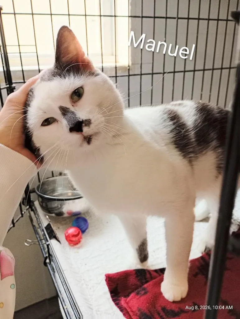 Manuel thumbnail 3