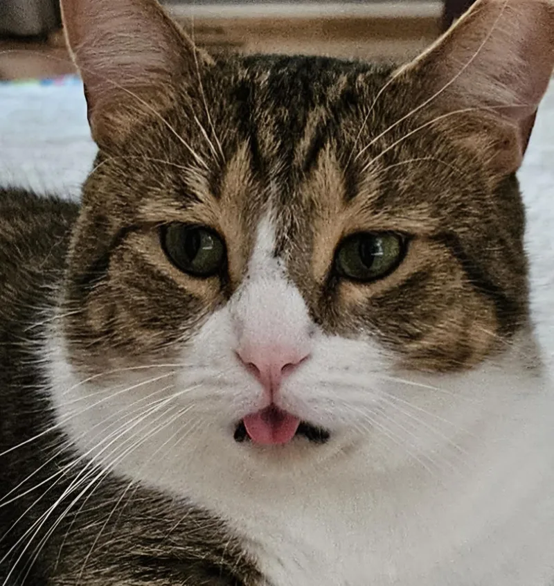 Goodboy & Sara thumbnail 3