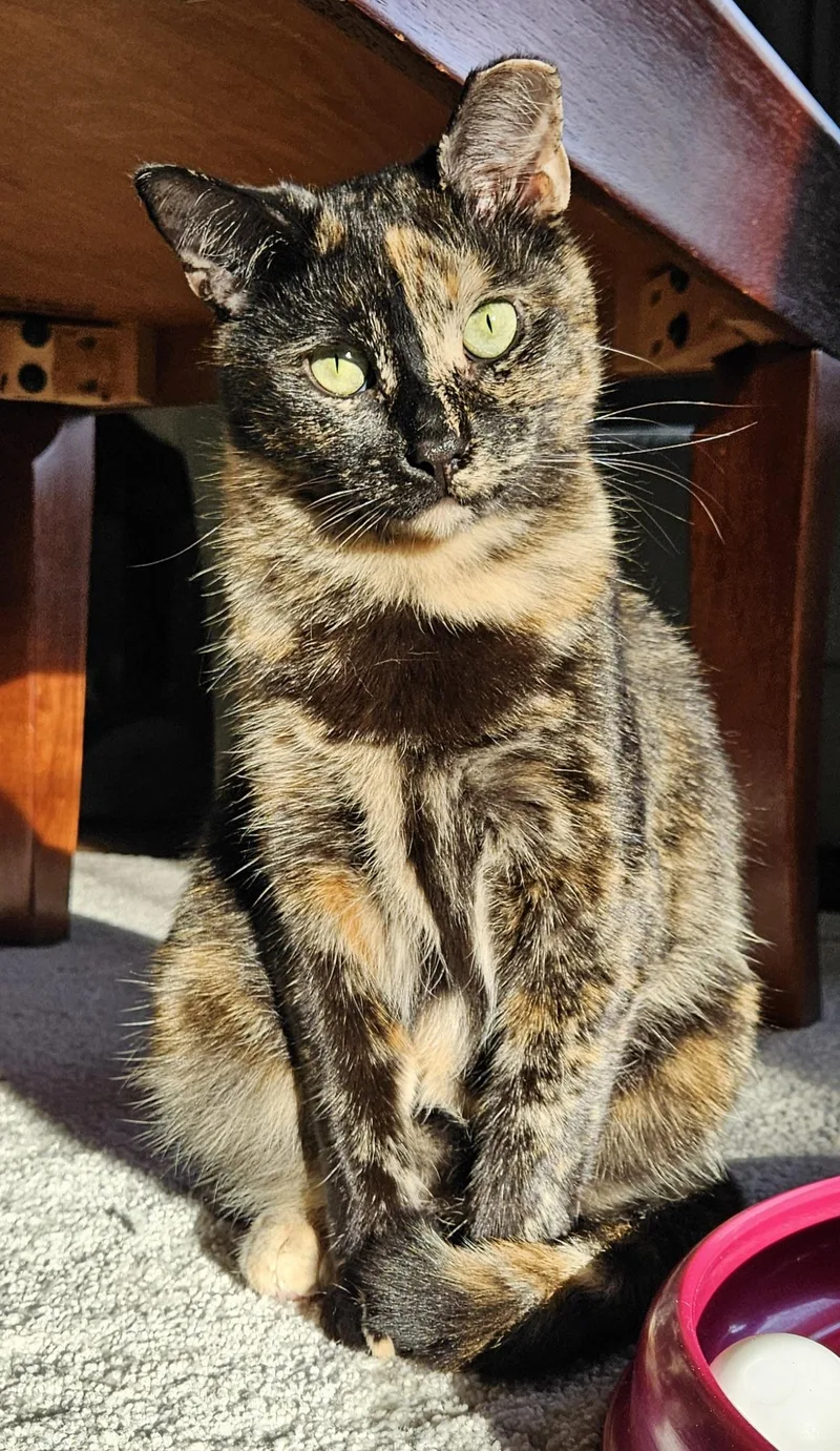 Goodboy & Sara thumbnail 4