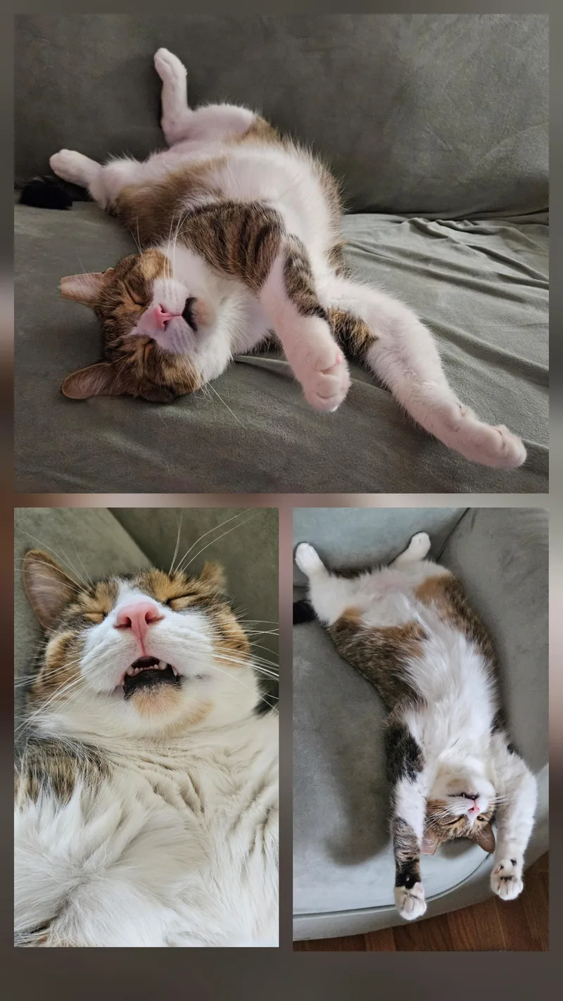 Goodboy & Sara thumbnail 5