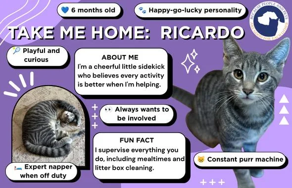 Ricardo thumbnail 2