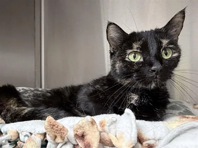 Fran
